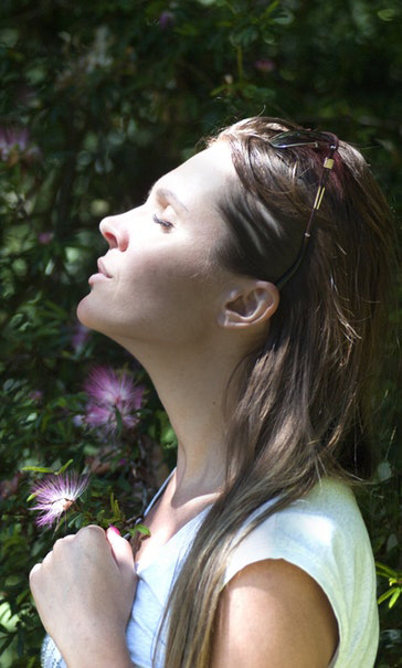 About Slideset Images