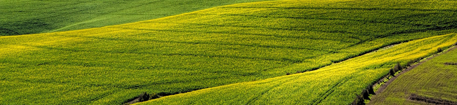 Single Post Breadcrumbs